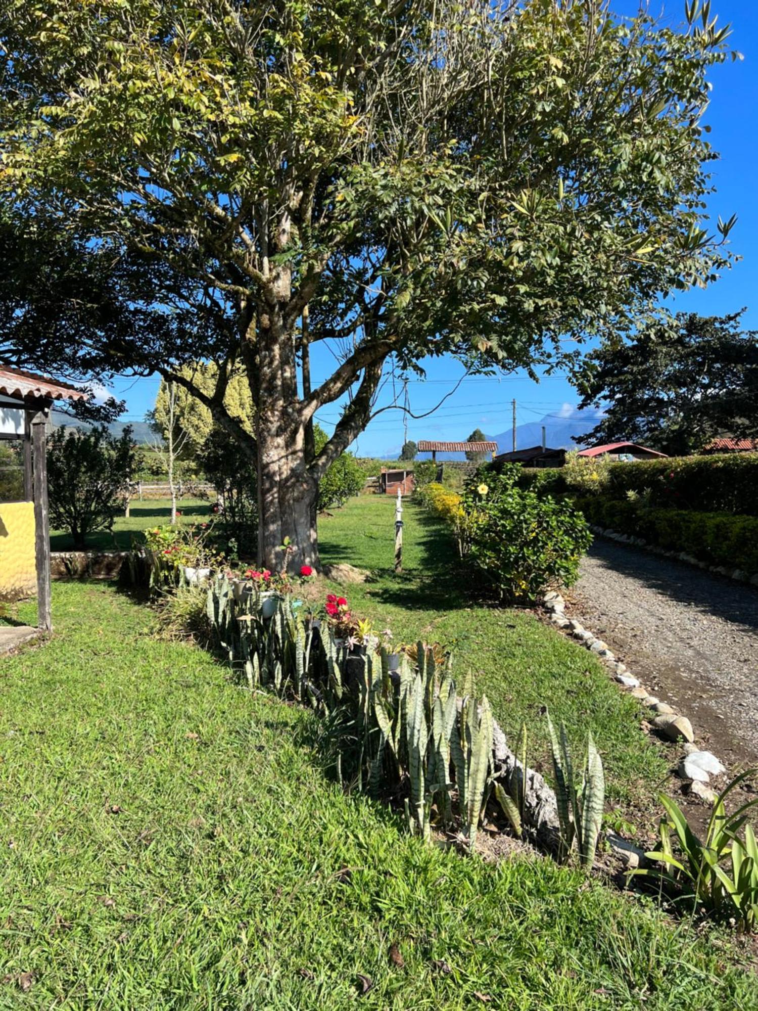 Finca Hotel Paraiso Urrao מראה חיצוני תמונה