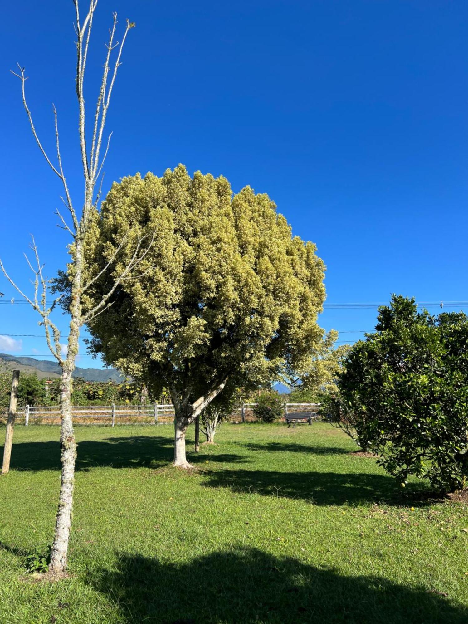 Finca Hotel Paraiso Urrao מראה חיצוני תמונה