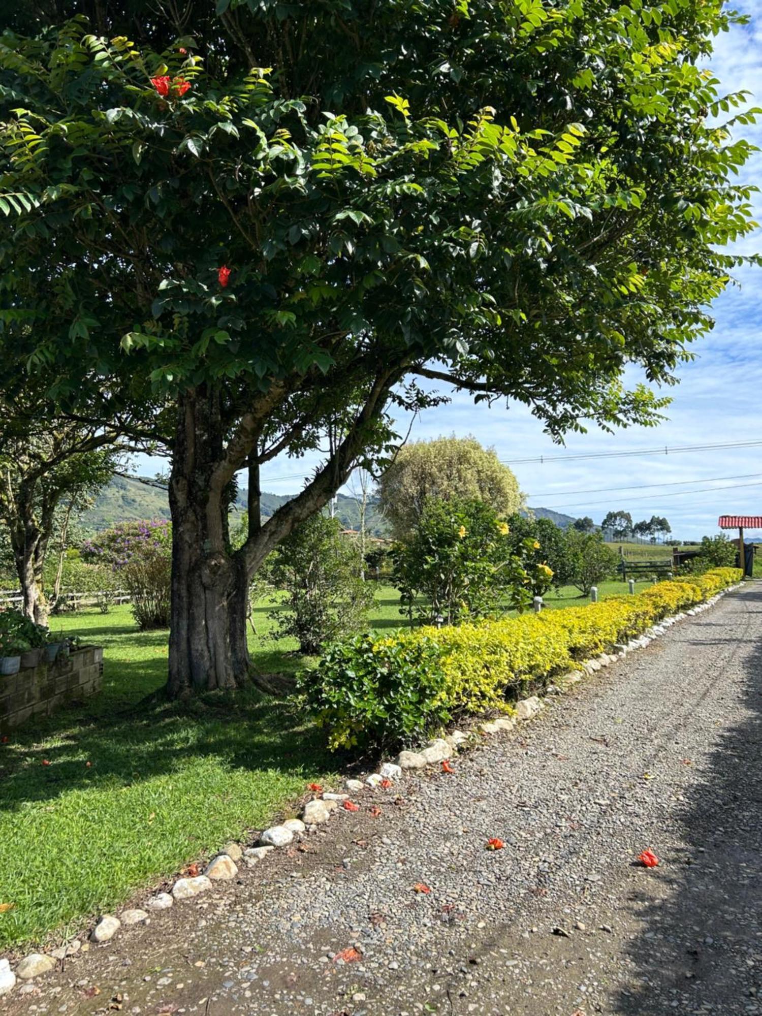 Finca Hotel Paraiso Urrao מראה חיצוני תמונה